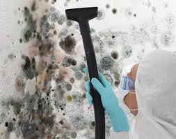 Best Environmental Consulting for Mold Prevention  in Pierre Part, LA